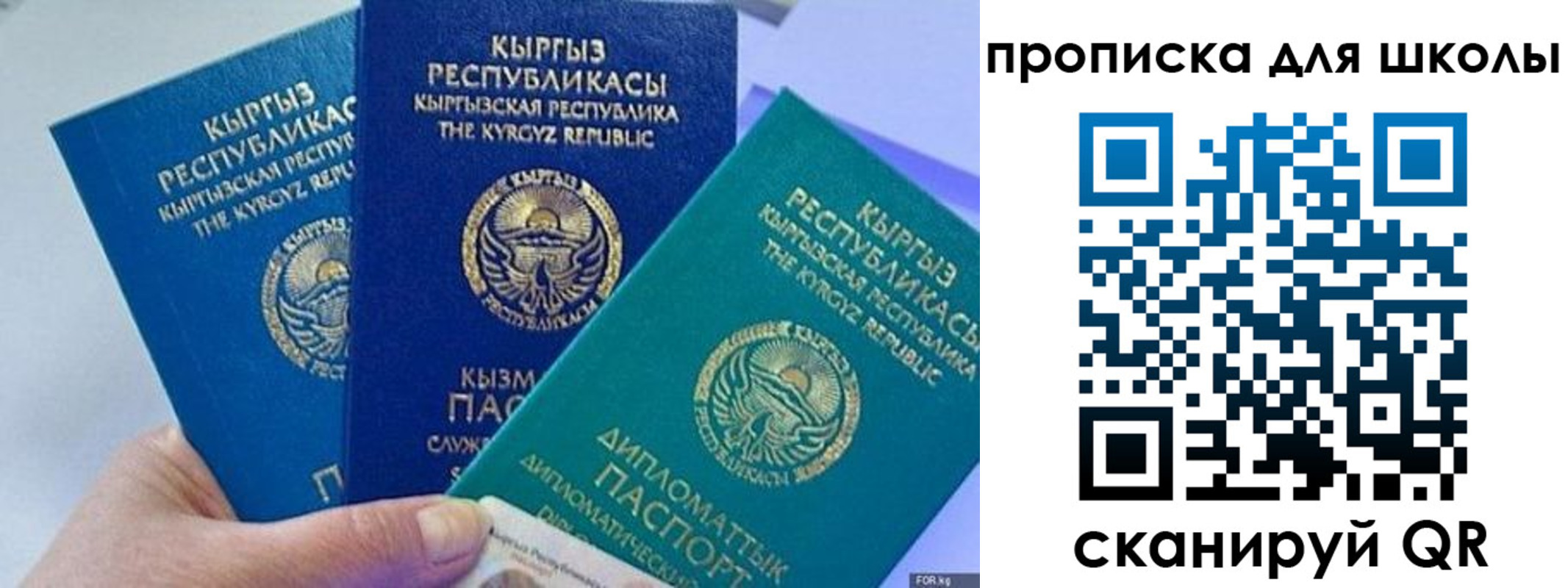 прописка регистрация в Камешково